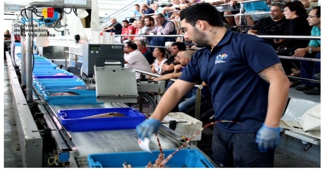 Las cofradías de la comarca recibirán de Generalitat ayudas por un total de 60 mil euros para paliar los efectos de la pandemia. Las cofradías de la comarca recibirán de Generalitat ayudas por un total de 60 mil euros para paliar los efectos de la pandemia.