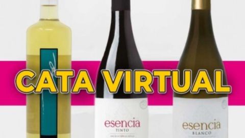 Montes Norte Cata virtual