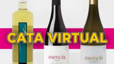 Montes Norte Cata virtual Montes Norte Cata virtual