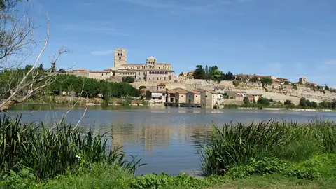 Zamora Zamora