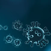 La evolución de la epidemia se estabiliza La evolución de la epidemia se estabiliza