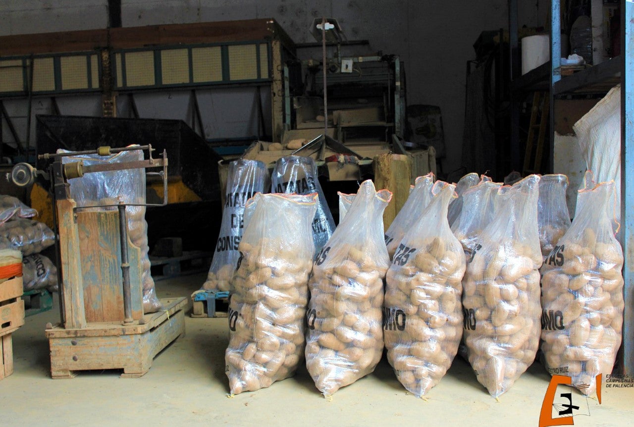 25 tiendas y 20 agricultores se suman a la campaña de apoyo a cultivadores y vendedores de patata de la provincia que impulsa la Diputación 25 tiendas y 20 agricultores se suman a la campaña de apoyo a cultivadores y vendedores de patata de la provincia que impulsa la Diputación