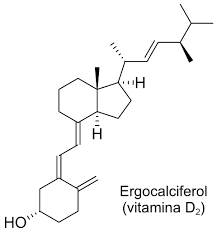 El calcifediol evita en muchos casos las crisis respiratorias agudas por coronavirus El calcifediol evita en muchos casos las crisis respiratorias agudas por coronavirus