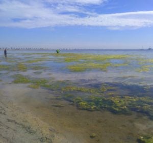 Mar Menor Mar Menor