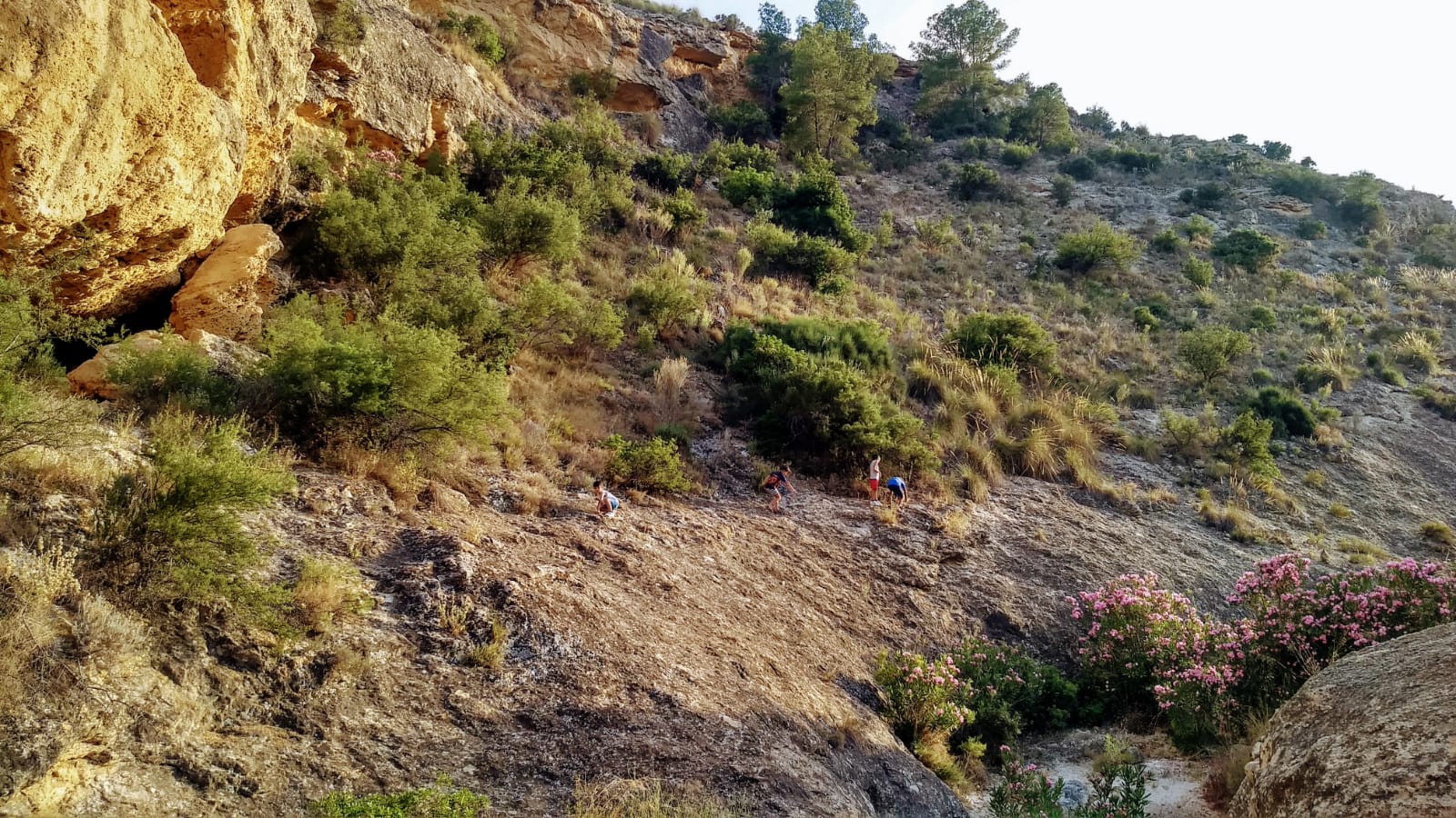 El colectivo Margalló pide más vigilancia en la sierra ilicitana contra la práctica del motocross El colectivo Margalló pide más vigilancia en la sierra ilicitana contra la práctica del motocross