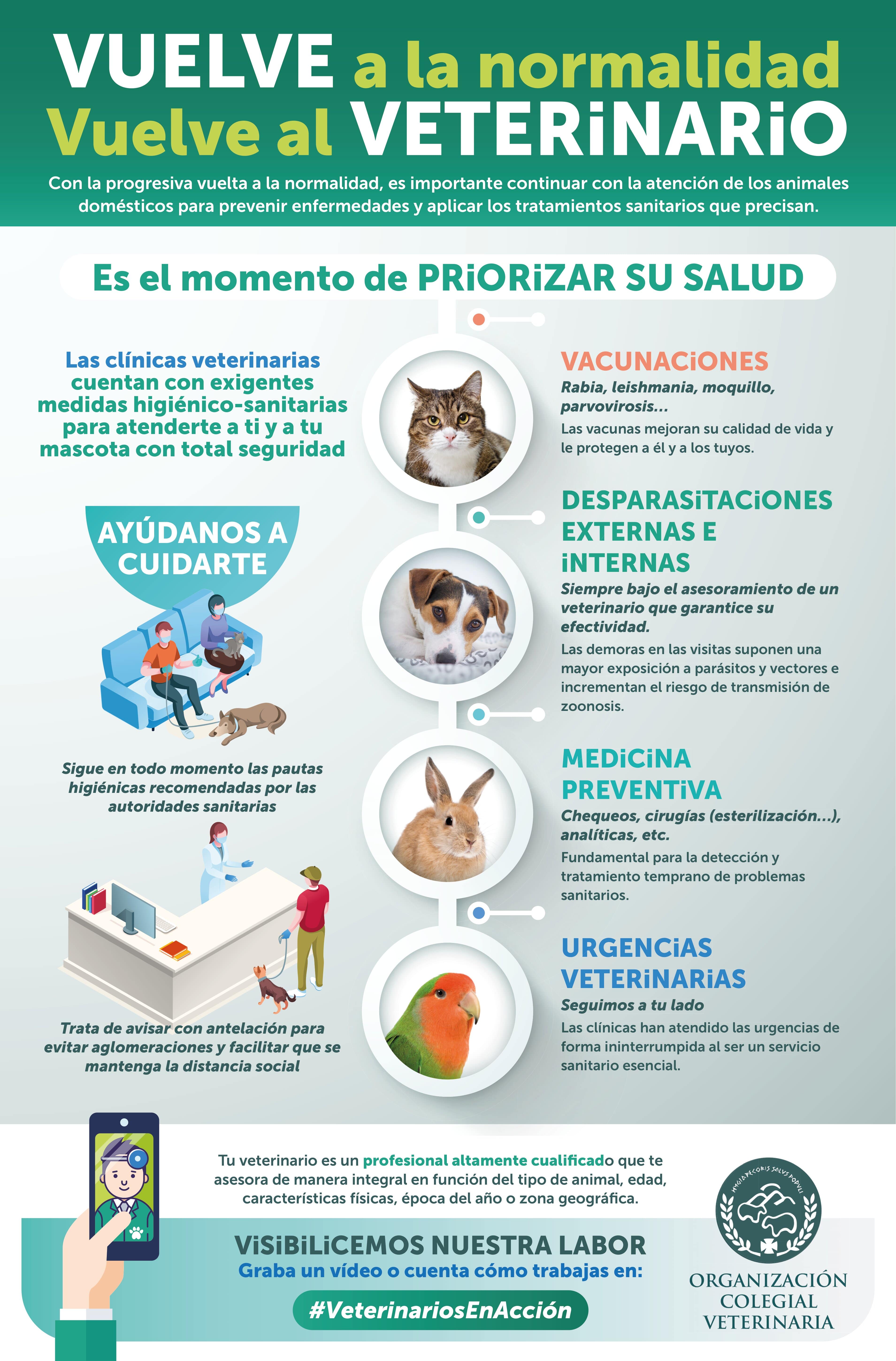 "Las autoridades han dejado de lado a los veterinarios para tratar esta pandemia" "Las autoridades han dejado de lado a los veterinarios para tratar esta pandemia"