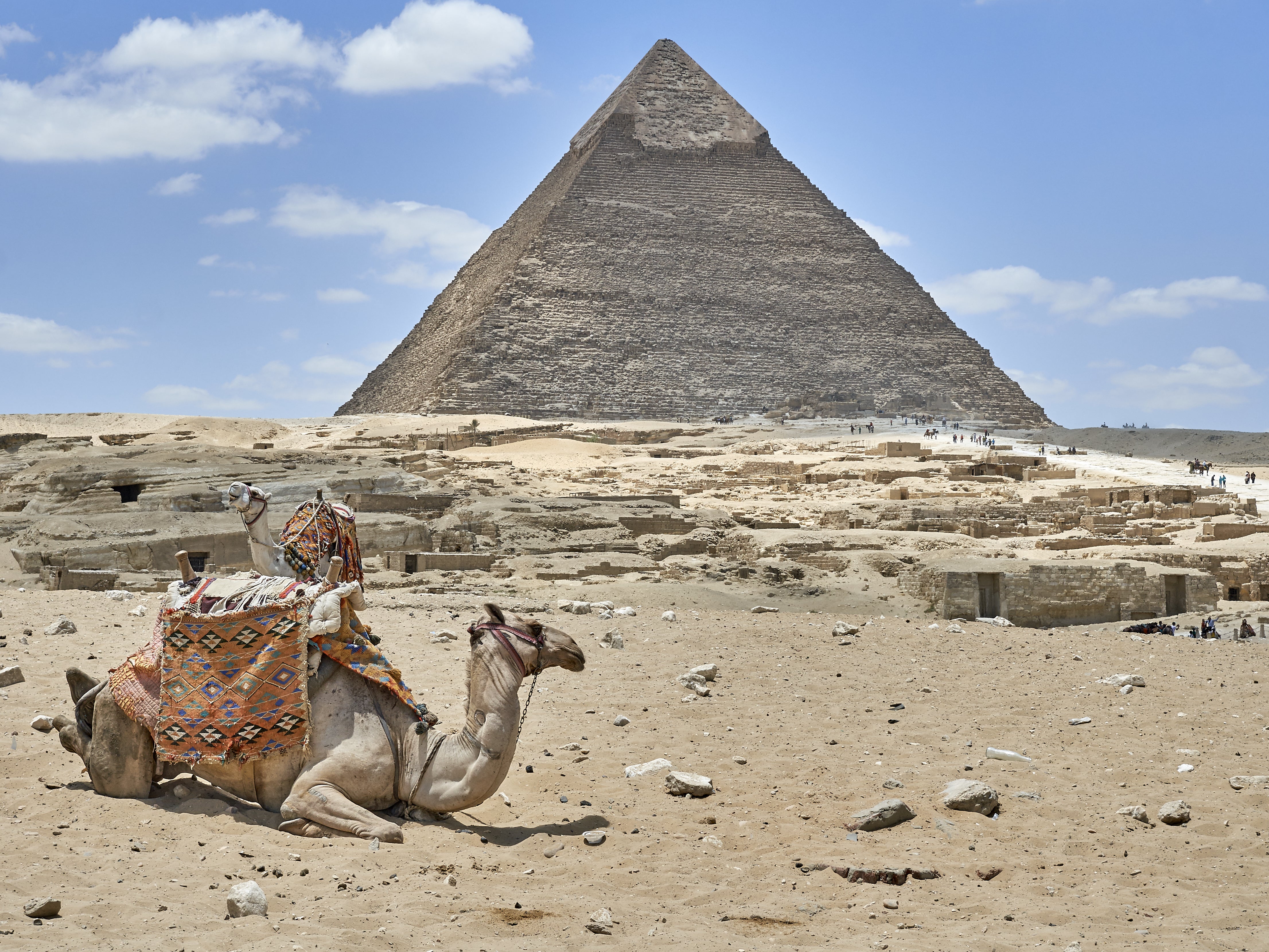 Antiguo Egipto: Una sociedad articulada en torno a la agricultura y la ganadería Antiguo Egipto: Una sociedad articulada en torno a la agricultura y la ganadería