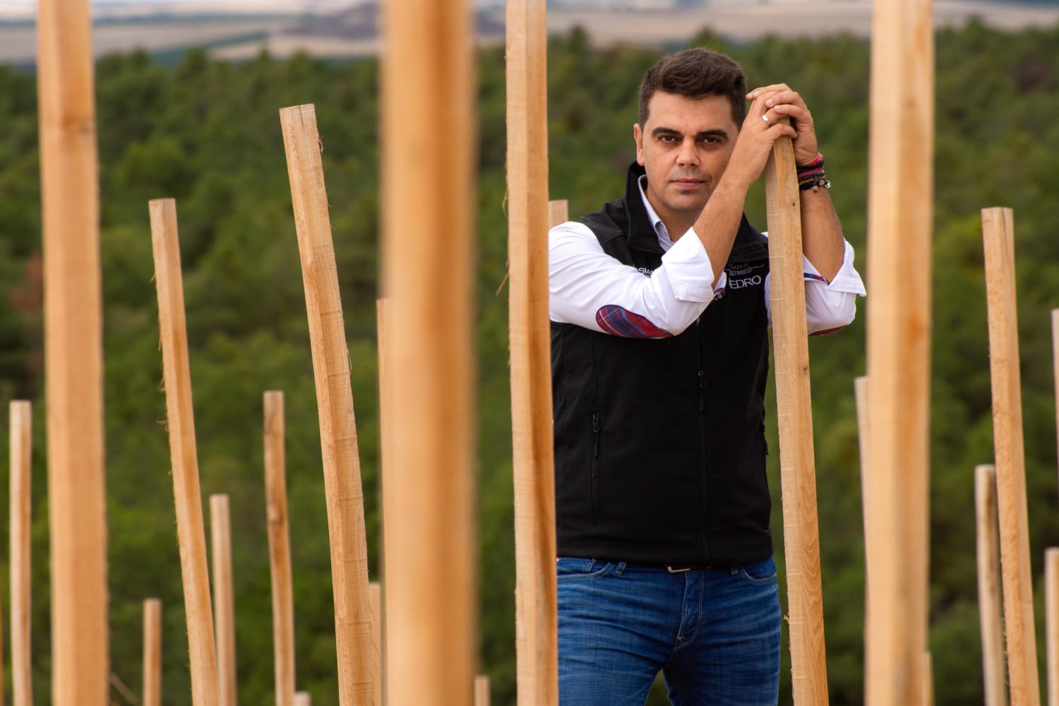 Entrevista con Pedro Ruiz Aragoneses. Entrevista con Pedro Ruiz Aragoneses.