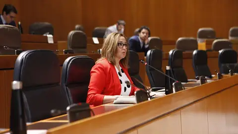 Mayte Pérez, durante el pleno de las Cortes Mayte Pérez, durante el pleno de las Cortes