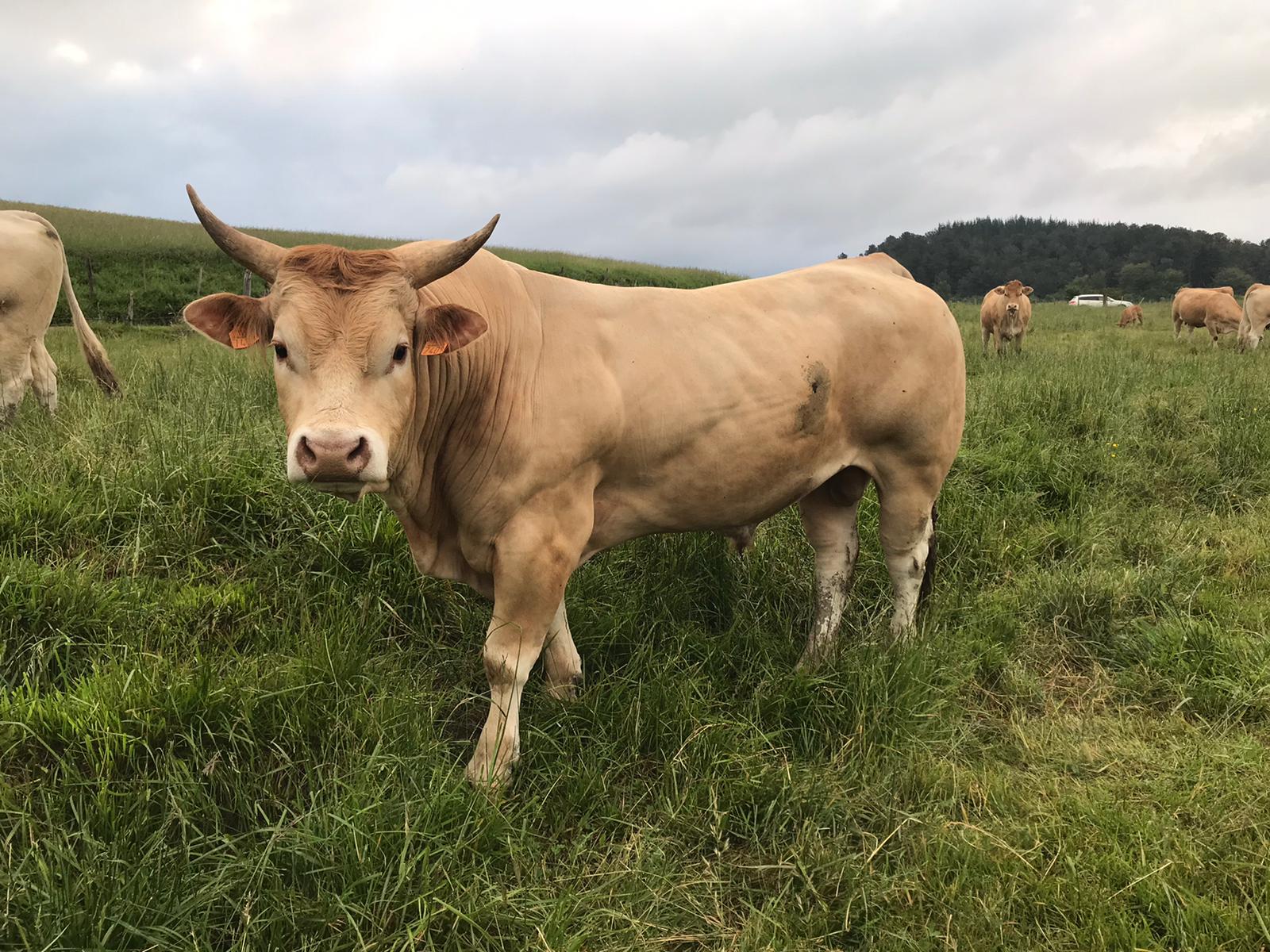 Más de uno Álava 15/05/2020 Más de uno Álava 15/05/2020