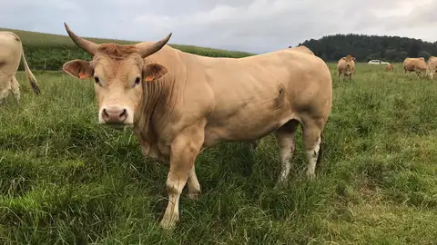 San Isidro, día del Mundo Rural San Isidro, día del Mundo Rural