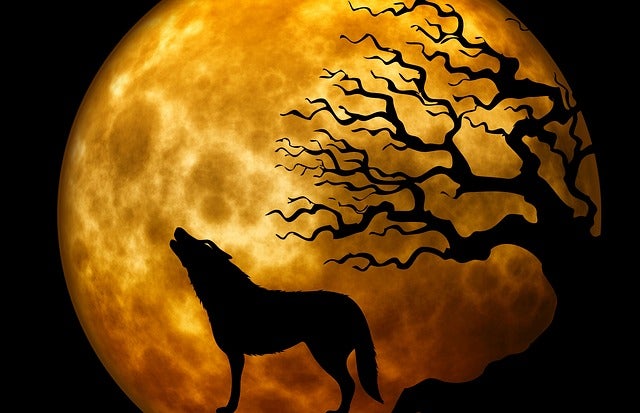 El Círculo Secreto: Animales del más allá El Círculo Secreto: Animales del más allá