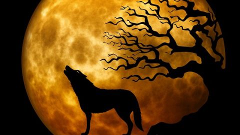 Animales del m&aacute;s all&aacute;