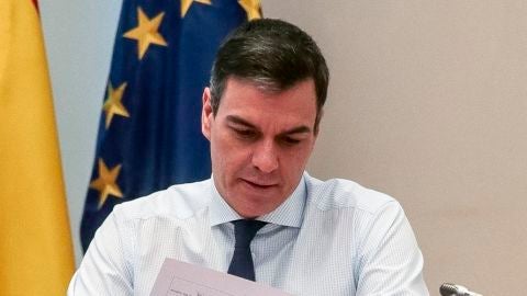 Pedro S&aacute;nchez, durante la reuni&oacute;n por videoconferencia con los presidentes auton&oacute;micos