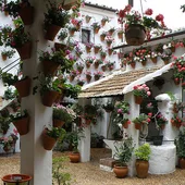 Patios de Córdoba Patios de Córdoba