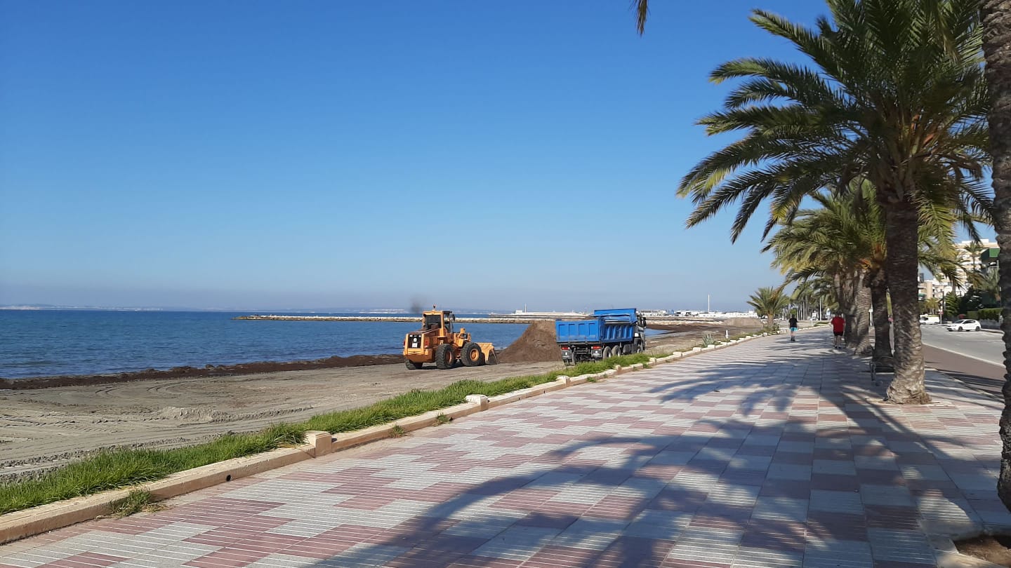 Las playas de Santa Pola se preparan para afrontar la temporada estival Las playas de Santa Pola se preparan para afrontar la temporada estival