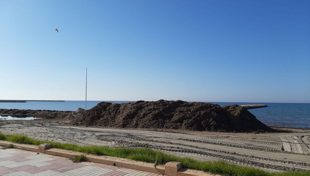 Trabajos de adecuación de las playas de Santa Pola.