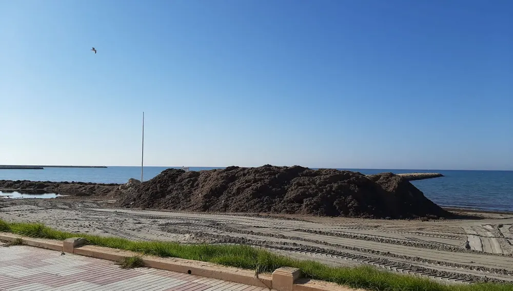 Trabajos de adecuación de las playas de Santa Pola. Trabajos de adecuación de las playas de Santa Pola.