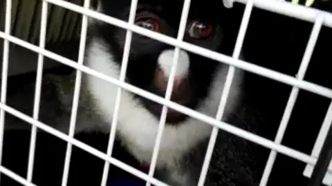 Marta y Eider Marta y Eider regresan a Rainfer tras ser robadas