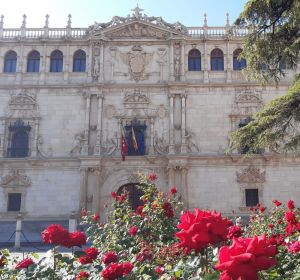 Universidad de Alcalá Universidad de Alcalá