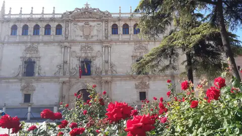 Universidad de Alcalá Plaza de San Diego