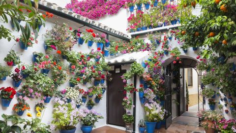 Patios de C&oacute;rdoba