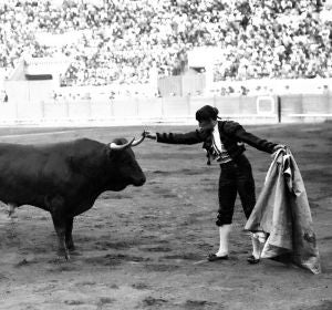 Joselito Joselito