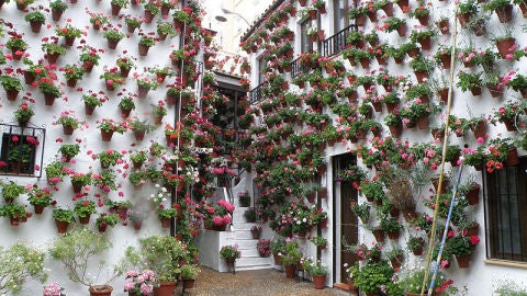 Patios de C&oacute;rdoba