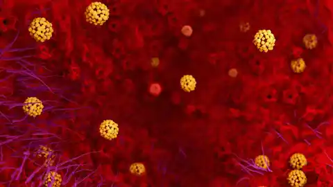 coronavirus coronavirus