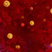 coronavirus coronavirus
