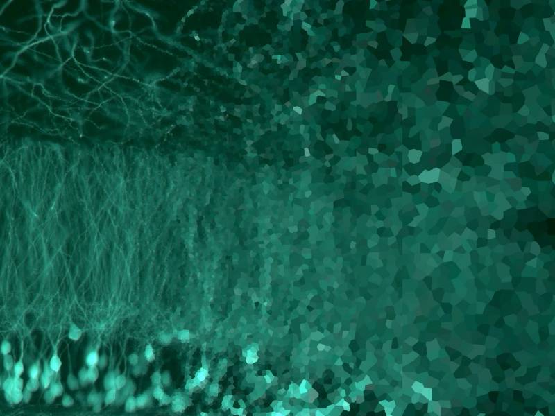 Quirónsalud Málaga incorpora una técnica avanzada no invasiva para la recuperación de pacientes con trastornos del sistema nervioso Quirónsalud Málaga incorpora una técnica avanzada no invasiva para la recuperación de pacientes con trastornos del sistema nervioso