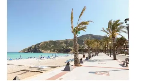 ALBIR PLAYA ALBIR PLAYA