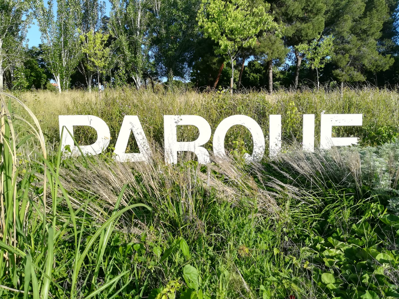 Conoce el tipo de terreno que pisas gracias a las plantas ruderales ("malas hierbas") Conoce el tipo de terreno que pisas gracias a las plantas ruderales ("malas hierbas")