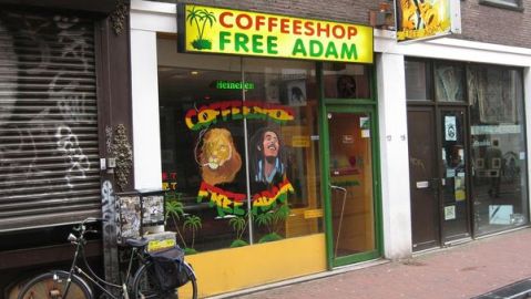 coffee shop