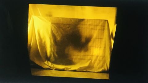 Viral, una webserie creada durante el estado de alarma