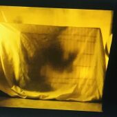 Viral, una webserie creada durante el estado de alarma
