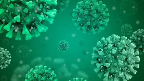 Coronavirus. Dos farmacos candidatos para inhibir una enzima clave del coronavirus