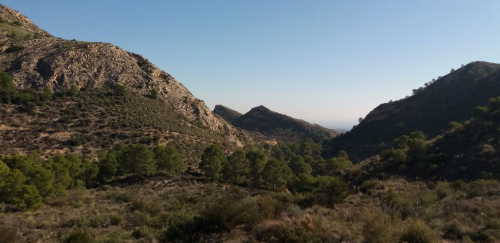 El pleno del Ayuntamiento de Crevillent da luz verde al plan local de prevención de incendios El pleno del Ayuntamiento de Crevillent da luz verde al plan local de prevención de incendios