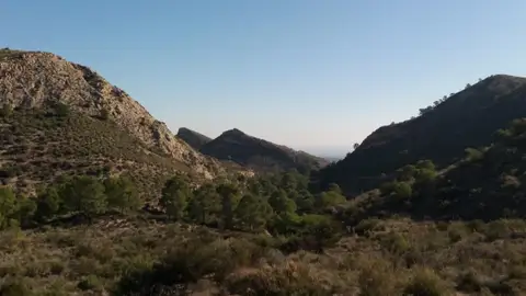 Sierra de Crevillent. Sierra de Crevillent.