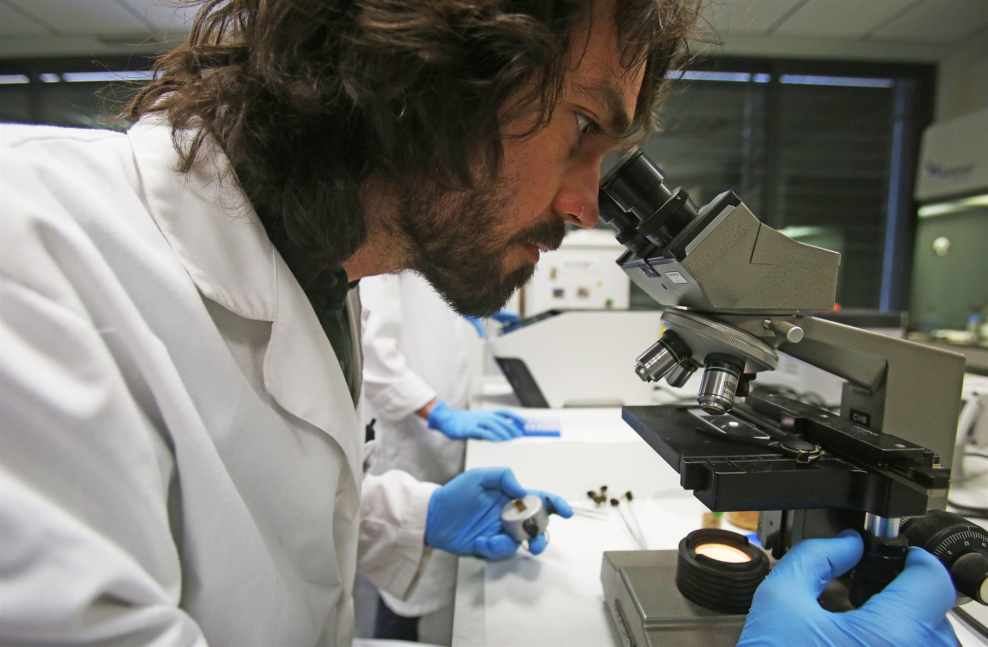 Una start-up del Parque Científico de la UMH de Elche crea un test de coronavirus para animales Una start-up del Parque Científico de la UMH de Elche crea un test de coronavirus para animales