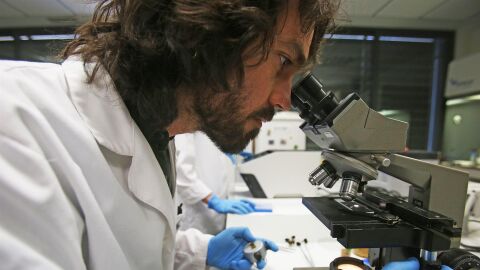 Un cient&iacute;fico de la empresa IberoGen de la UMH de Elche.