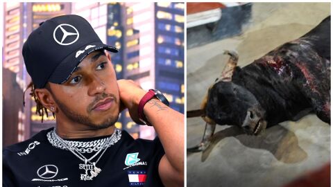 Lewis Hamilton, contra la tauromaquia en Espa&ntilde;a