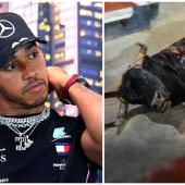 Lewis Hamilton, contra la tauromaquia en España