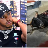 Lewis Hamilton, contra la tauromaquia en España Lewis Hamilton, contra la tauromaquia en España