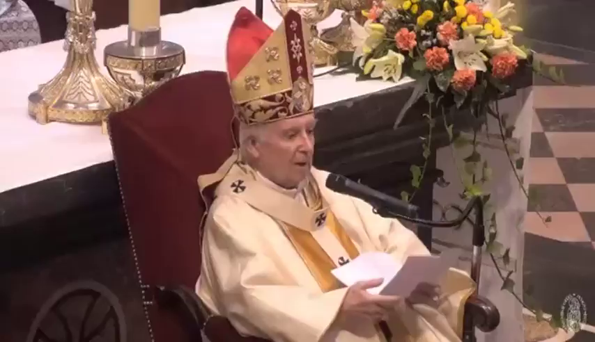 El cardenal Cañizares difunde en misa el bulo de que la vacuna contra el Covid-19 se hace "a base de células de fetos abortados" El cardenal Cañizares difunde en misa el bulo de que la vacuna contra el Covid-19 se hace "a base de células de fetos abortados"