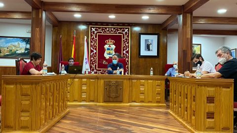 Los acuerdos se adoptaron en sesi&oacute;n plenaria extraordinaria