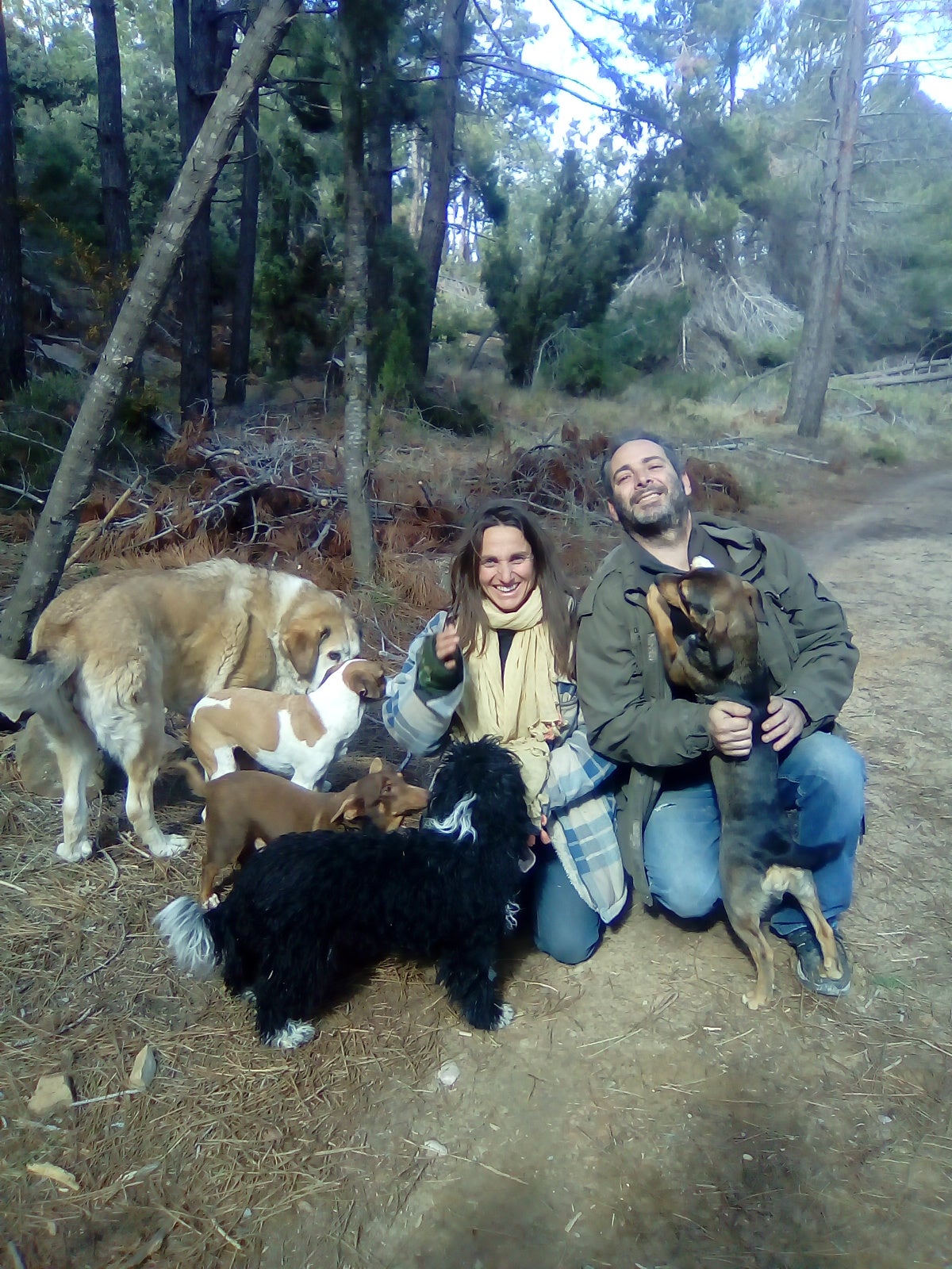 Comparte una jornada de fin de semana en el refugio de animales 'Arcadia' de Lucena del Cid Comparte una jornada de fin de semana en el refugio de animales 'Arcadia' de Lucena del Cid