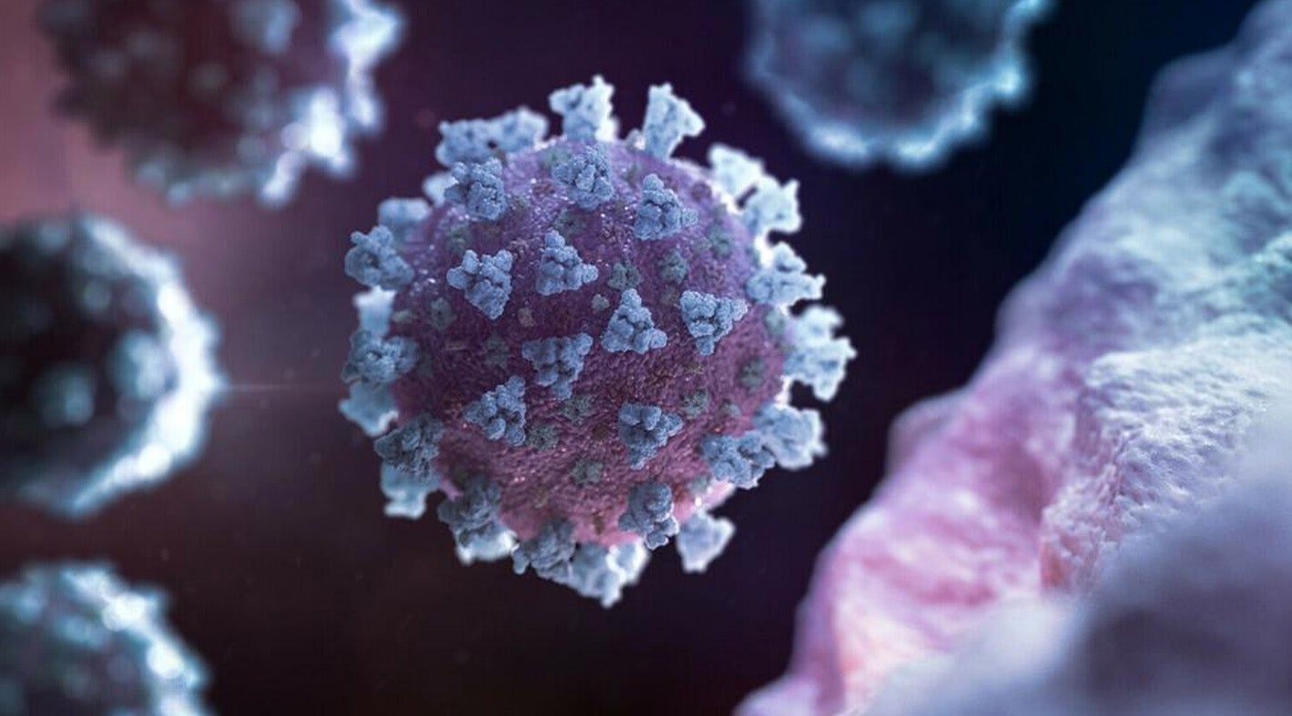 51 positivos por coronavirus confirmados en las últimas 24 horas 51 positivos por coronavirus confirmados en las últimas 24 horas