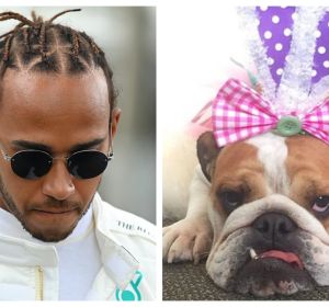 Lewis Hamilton y su perra Coco Lewis Hamilton y su perra Coco