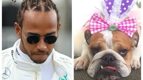 Lewis Hamilton y su perra Coco